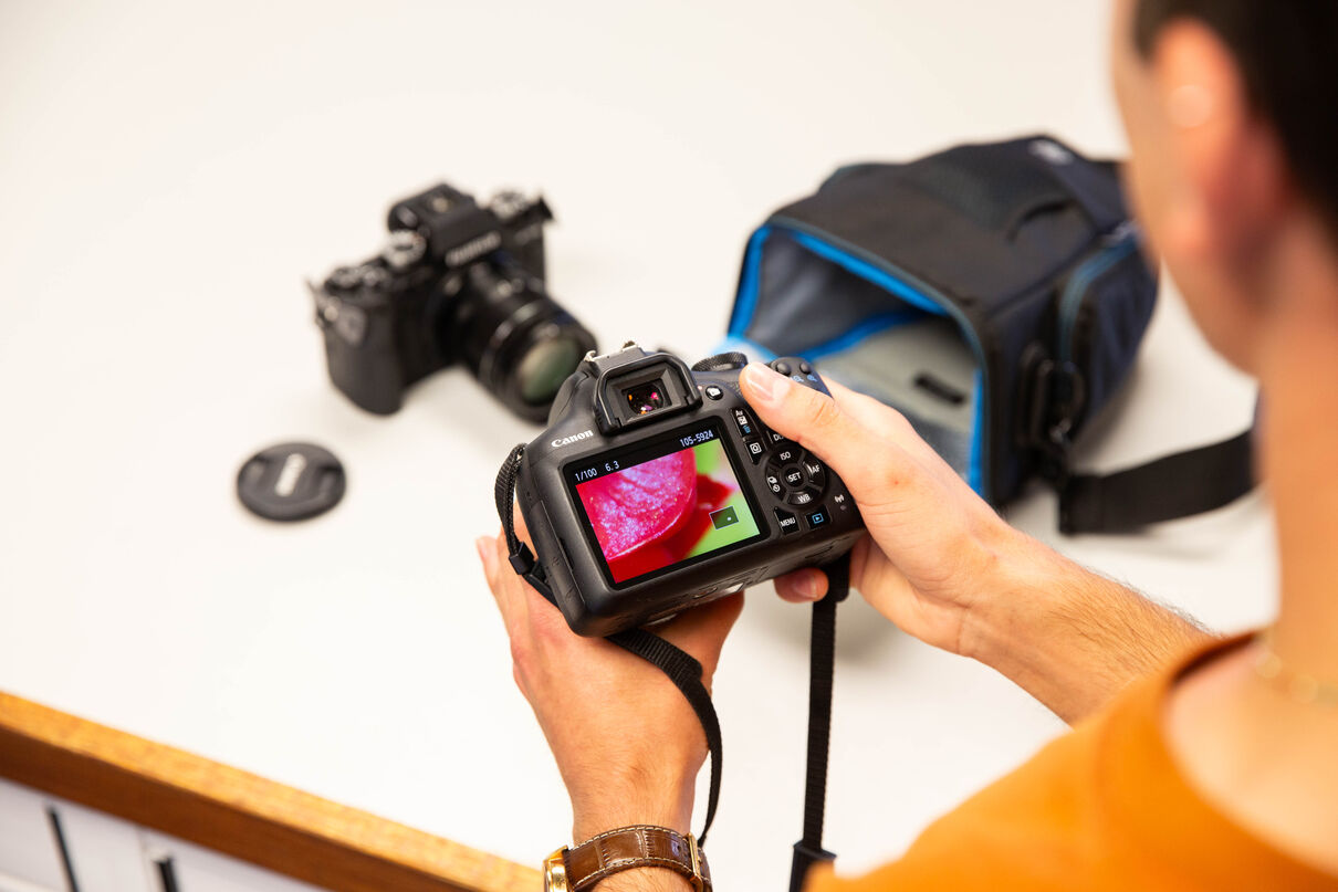 Person holding a digital camera and looking at the screen on the back of it which shows an image of a flower