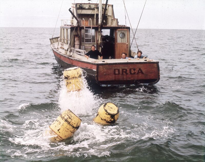 A fishing boat drags drums of fuel in the water to lure a shark.