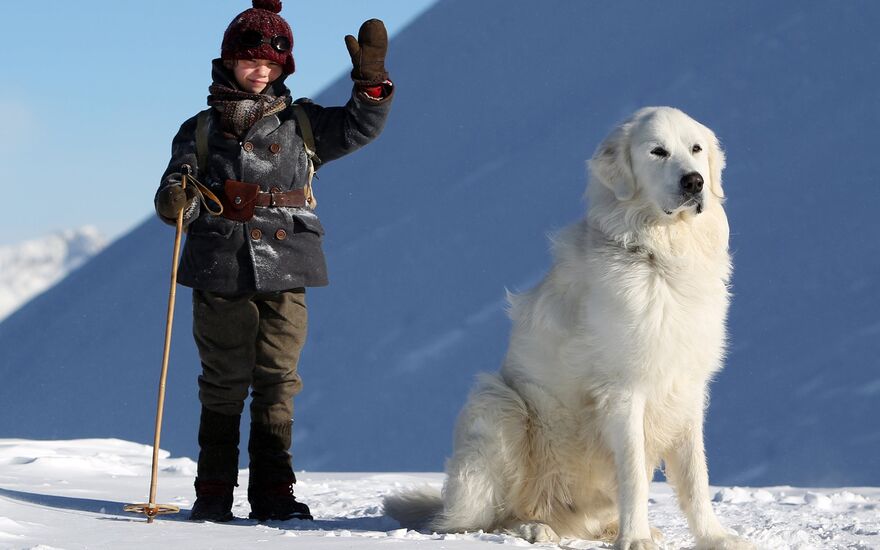 A boy and his huge dog on a snowy mountain.