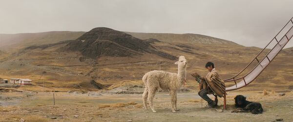 A boy sits in a remote mountain playground, reading a magazine, his white alpaca stands nearby
