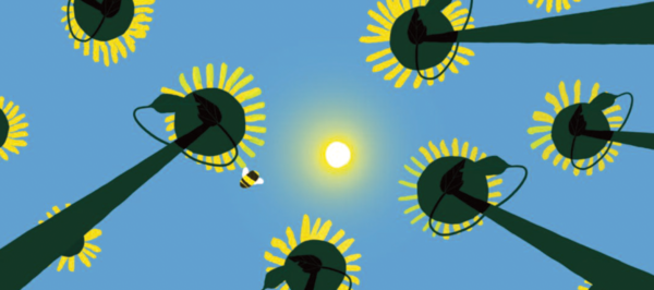 Animation still: Sunflowers growing towards a bright sun overhead