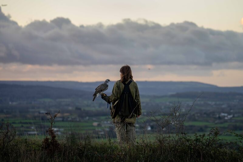 A woman holds a hawk while looking out at a distant view