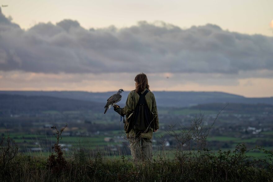 A woman holds a hawk while looking out at a distant view