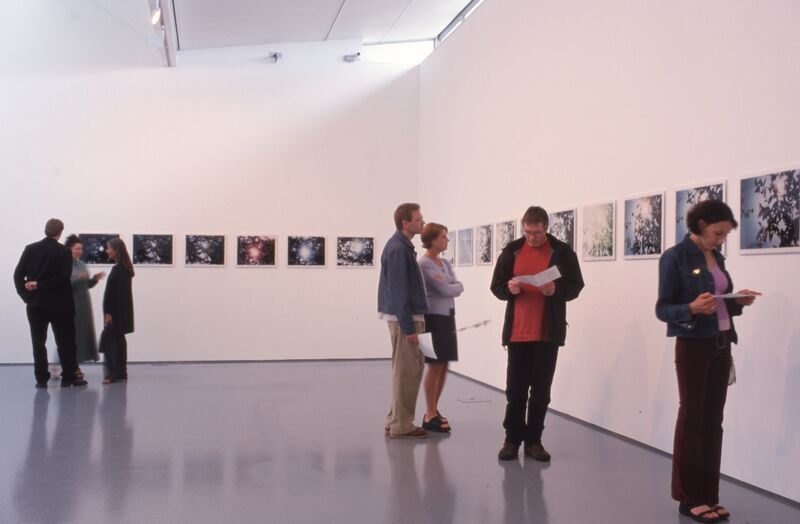 People stand in a white gallery space looking at small photographs.