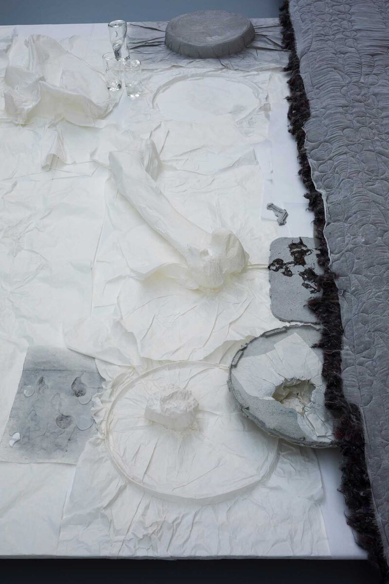 paper sculptures of fossils and bones sit on grey fabric