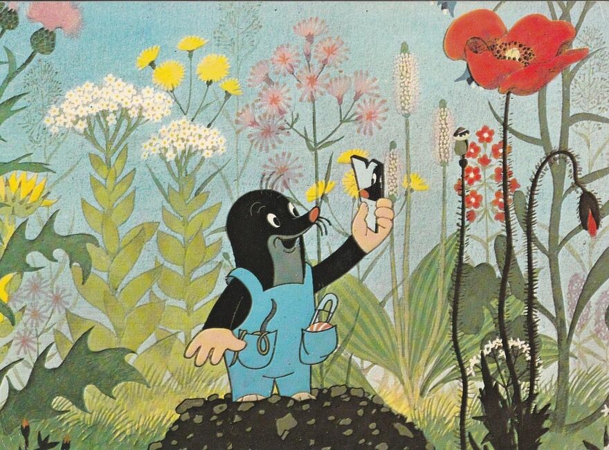 A cartoon mole looks at himself in a mirror with glee