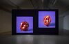A still from Stuart Whipp's exhibition shows two images of unusual red stones against a blue backdrop.