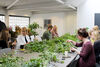 People sitting around a table covered in green plant cuttings