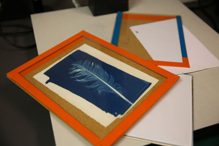 Cyanotype print of a feather