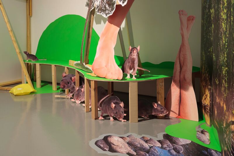 From Heather Phillipson's exhibition. Cut out photographs of rats sit on a green table made out of plywood. There are also large cut-out photographs of legs and feet.