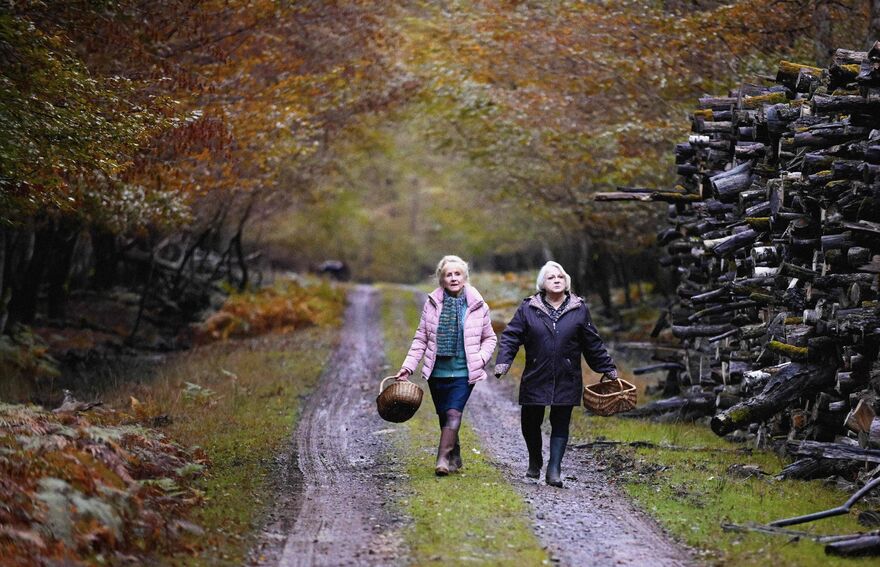 Two women walk through an autumn forest carrying baskets.