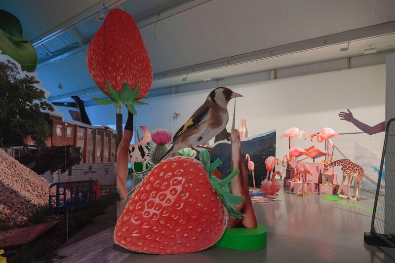 From Heather Phillipson's exhibition. A large cut-out photograph of a finch sits on top of some equally large cut-out photographs of strawberries. In the background, statues of flamingos and giraffes can be seen.