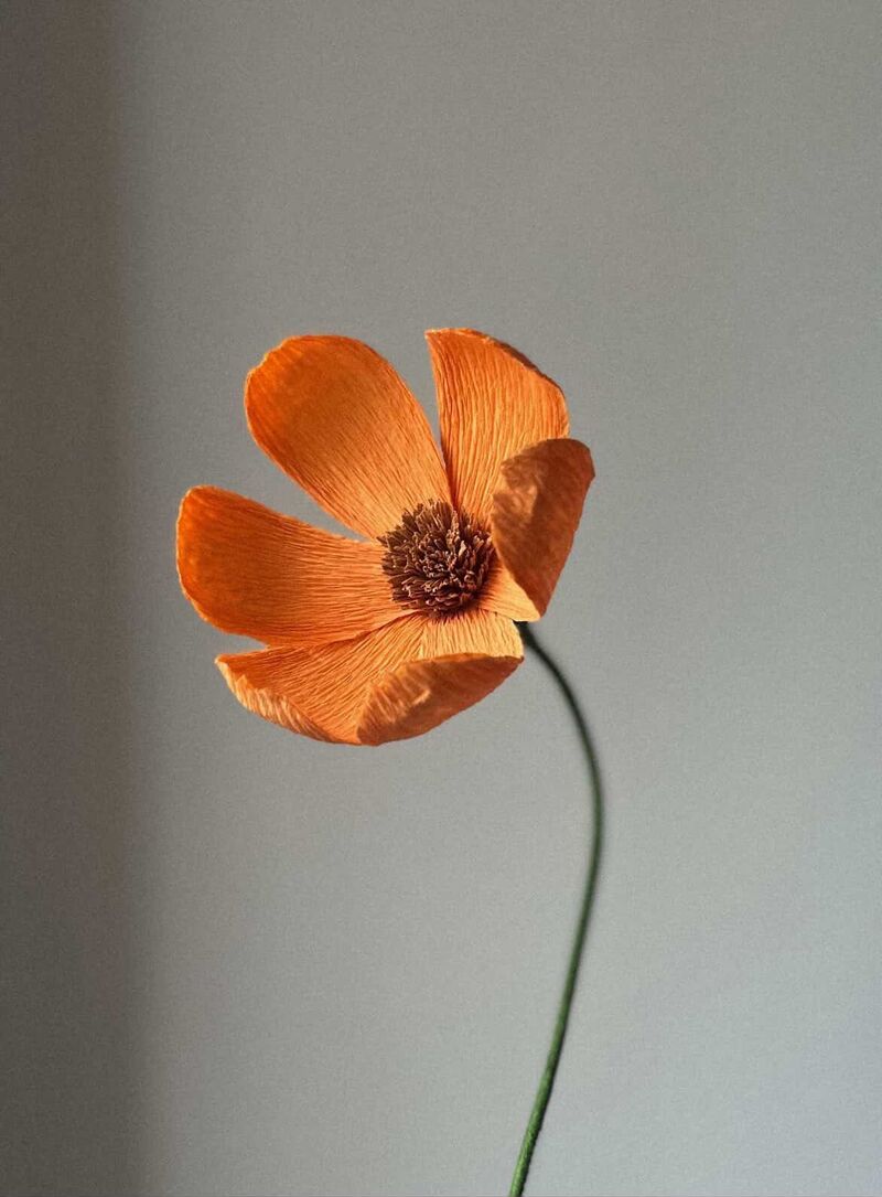 Orange paper flower