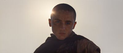 A man with a shaved head and facial cuts looks near the camera and the sun shines from around the left side of his head. The actor is Timothee Chalamet.