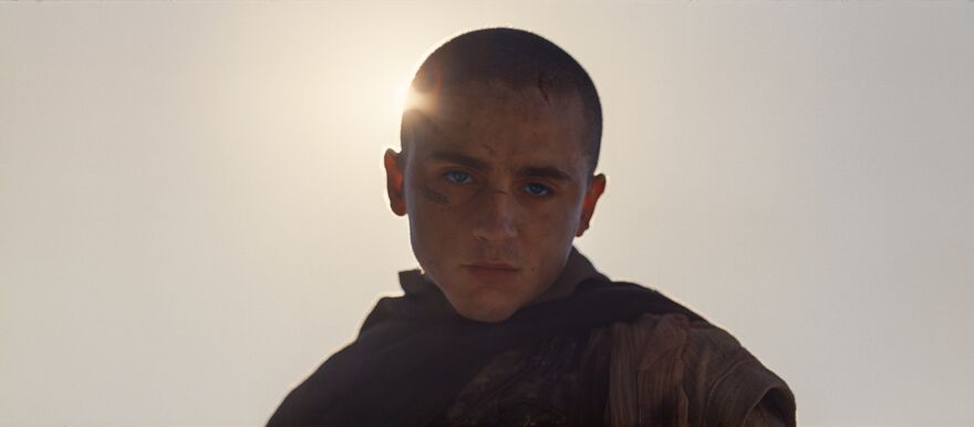 A man with a shaved head and facial cuts looks near the camera and the sun shines from around the left side of his head. The actor is Timothee Chalamet.