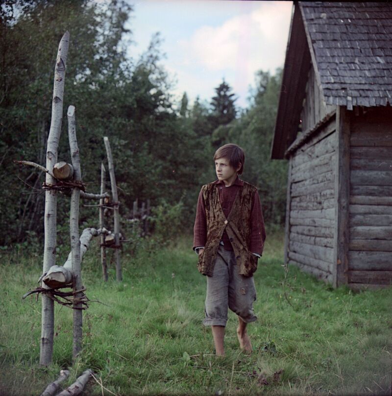 A boy walks in the forest near a wooden house.