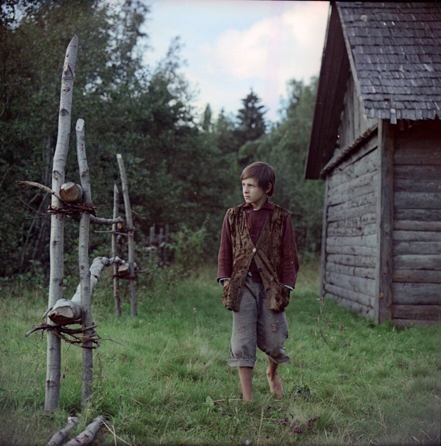 A boy walks in the forest near a wooden house.
