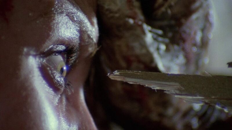 Close up of an eye looking frightened with a sharp bit of wood in front of it