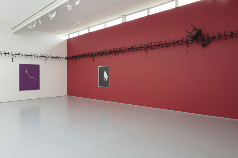 Installation photograph showing a wall on the right painted red and a wall on the left painted white. Across both black barbed metal work is installed two thirds up, in which objects like a chair and plastic bags are snagged. A purple artwork hangs on the white wall, and a black and white photograph hangs on the red. 