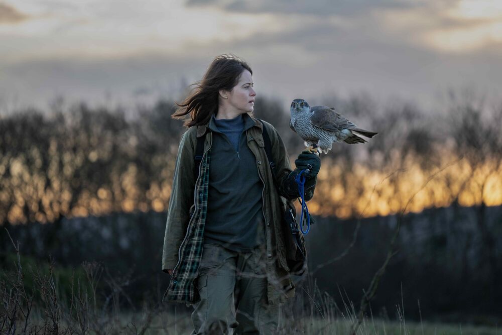 A woman stands outside in a field on a winter's evening with a hawk