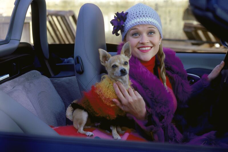 a girl in a car wearing a crocheted hat next to her a small dog