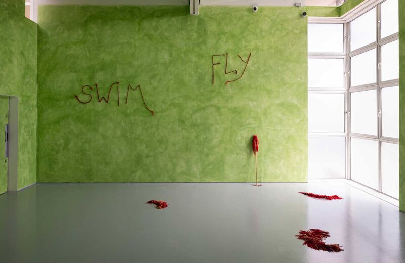 A gallery with green mottled walls. The words 'swim' and 'fly' appear on the wall, made from red fabric. 