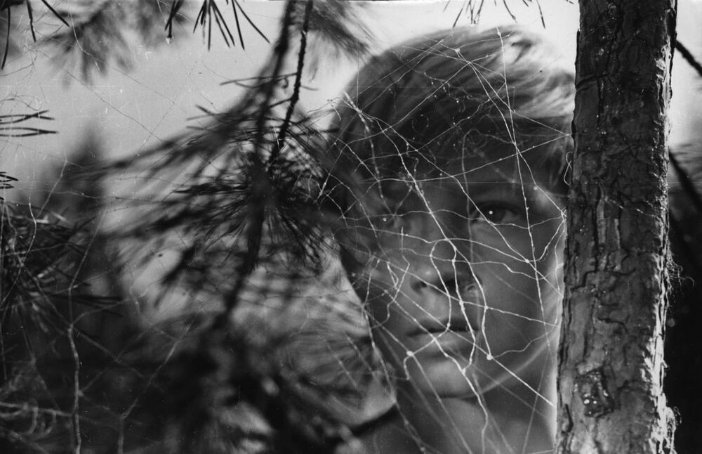 Black and white image of young boy looking through a spider web