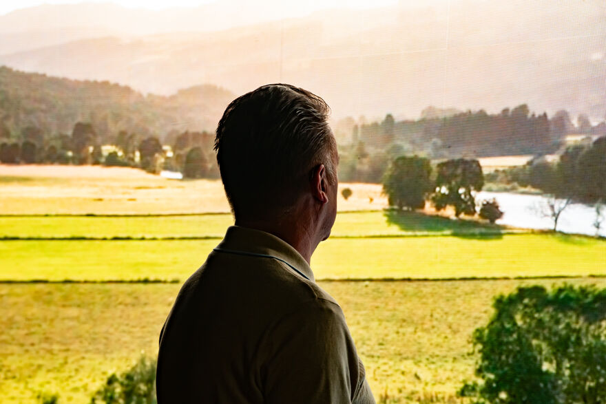 The silhouette of a man looks out over a field