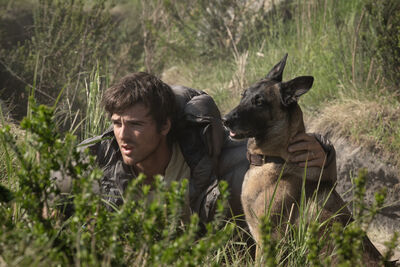 A young man and his dog take cover in a field