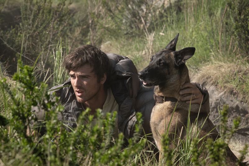 A young man and his dog take cover in a field