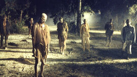 Zombies walking through a wooded area