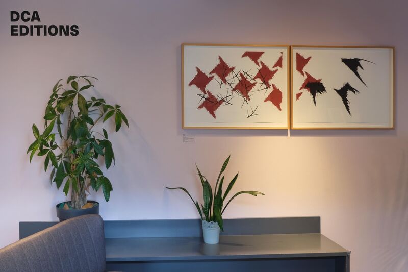 A pink wall with the words DCA Editions on it and a some frame prints and plants
