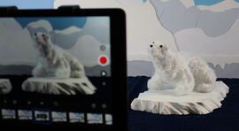Filming a model polar bear with and iPad