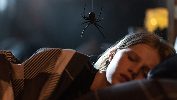 Child sleeping in bed with a large spider hanging above her