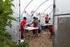 Tables set up in the poly tunnels in Victoria Park Community Garden