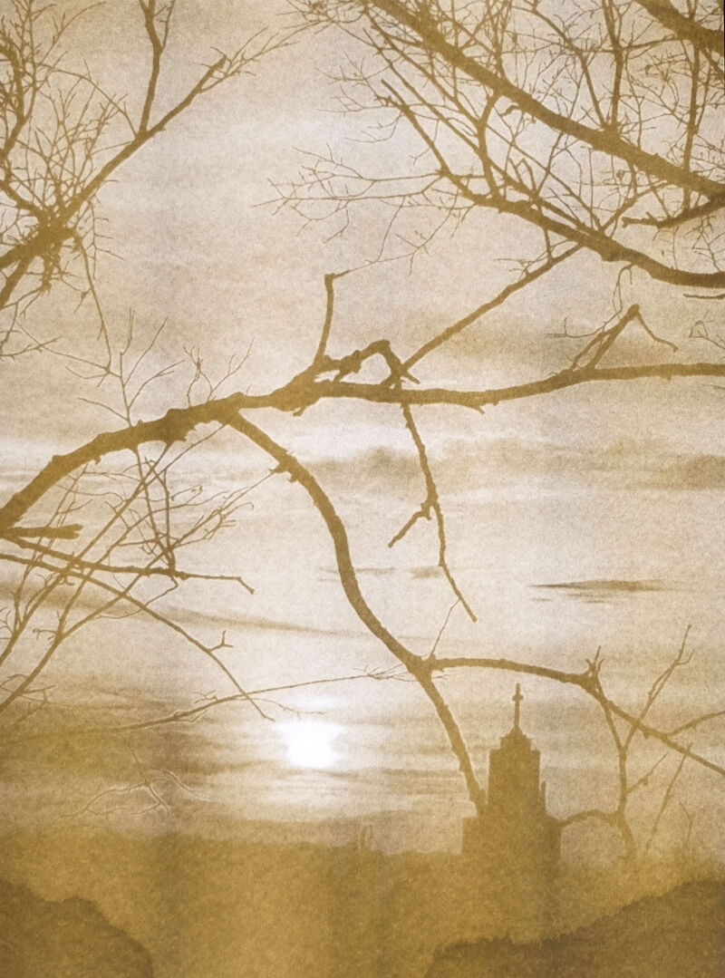 Print in browns showing branches in front of a landscape view