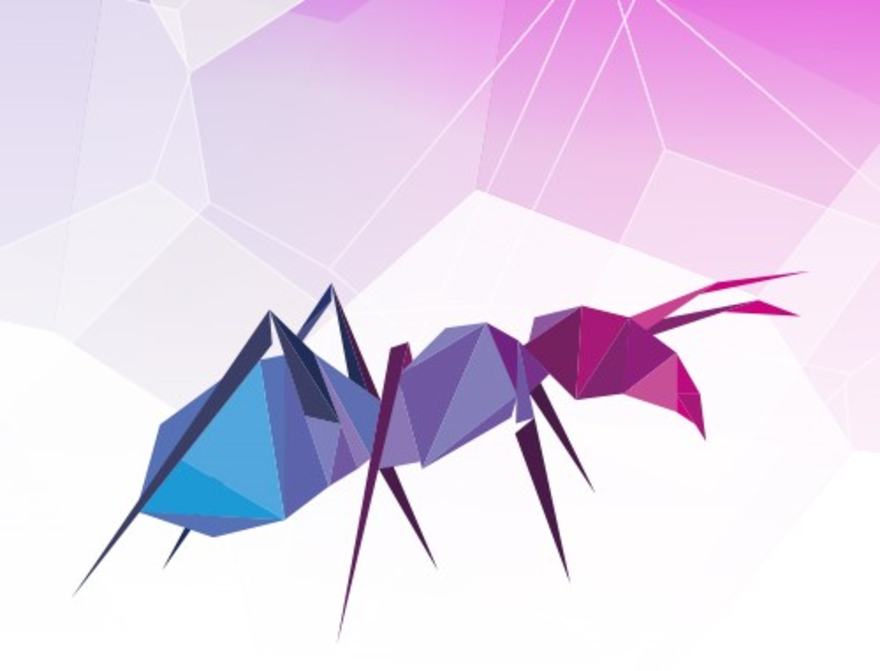 Ant Workshop