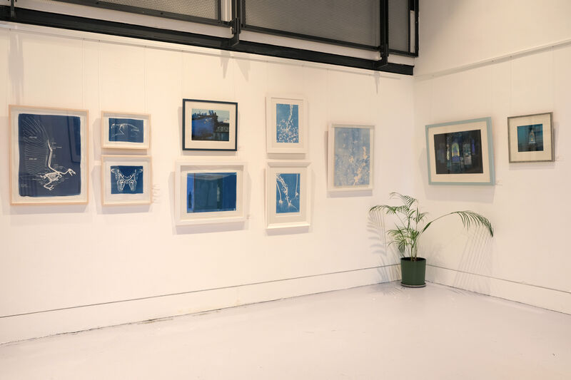 Corner of DCA Centrespace with blue framed prints on the wall and a plant in the corner