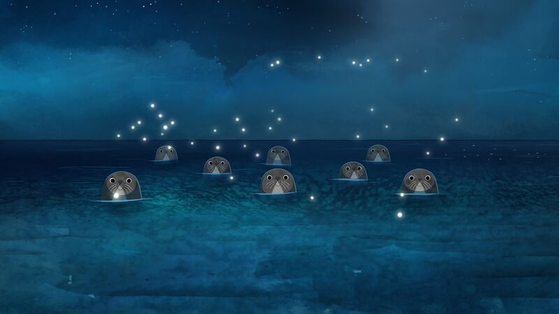 A group of seals look up from the water.