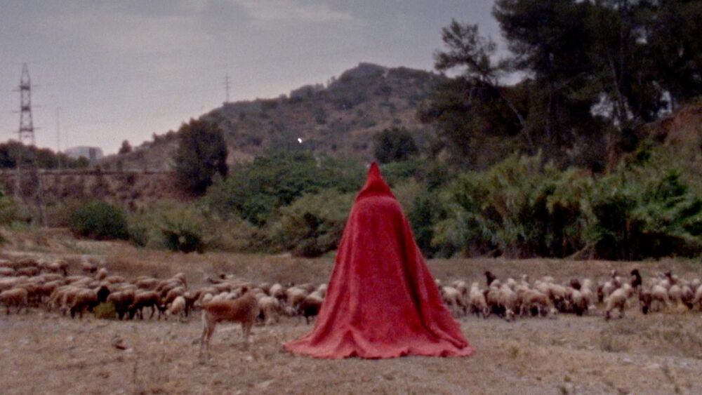 A person wearing a long red cloak with a hood stands in a field with farm animals.
