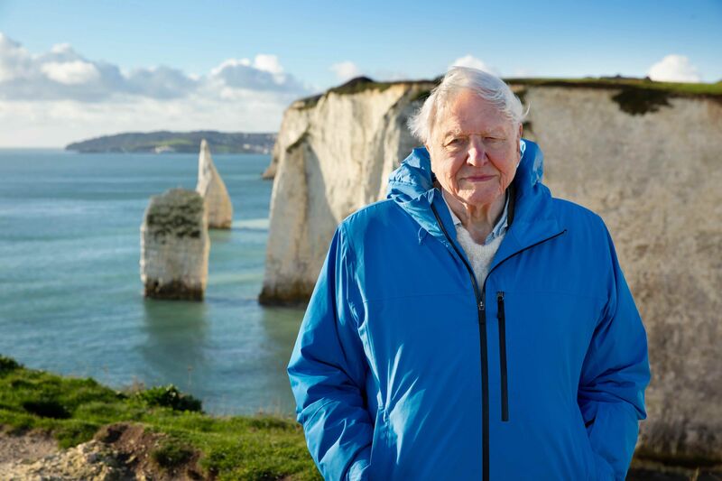 David Attenborough stands in front of the white cliffs of dover wearing a blue jacket.