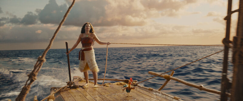Moana sailing at sunset