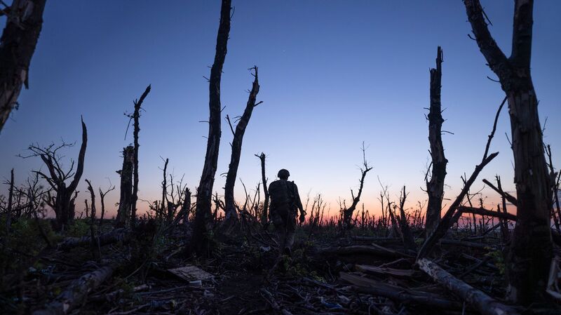 A soldier walks through a forest of dead trees at dawn.