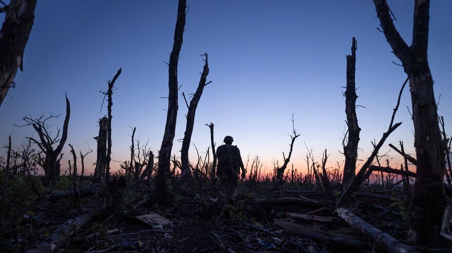 A soldier walks through a forest of dead trees at dawn.