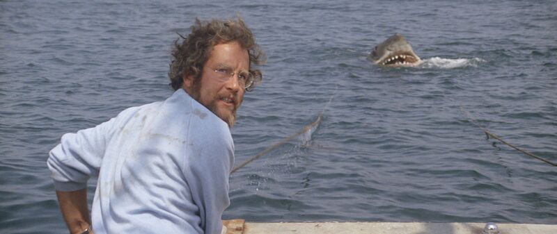 Man on a boat faces a huge shark in the water
