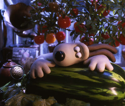 Gromit lays his head on a giant squash