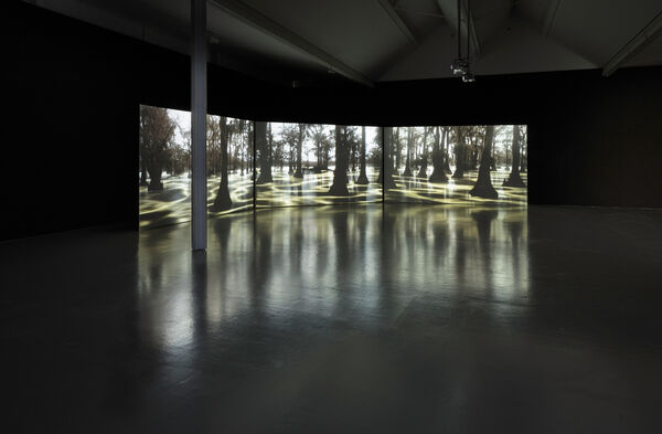 Image shows visitors watching a film in the gallery projected over large screens to the left and centre of the photograph. The film shows a landscape with a green glowing swamp and trees. 