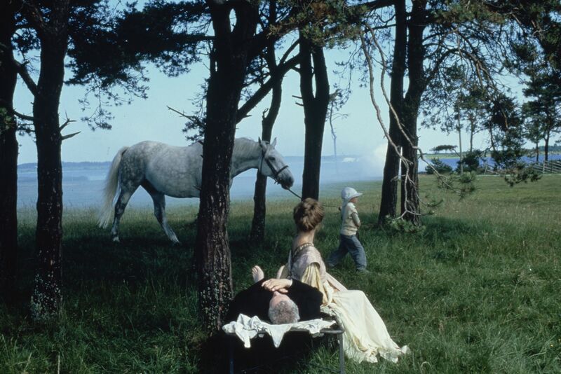 Dreamlike image of a boy leading a horse through woods as a man and woman watch