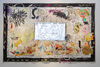 Canvas 6 at Oriel Davis