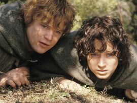Hobbits Frodo and Sam hide in the woods.